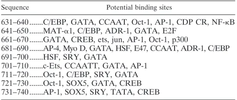 TABLE 1. Potential transcription factor binding sites as determinedby a search using the TRANSFAC database