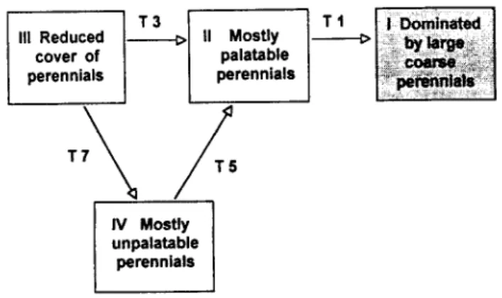 Fig.  5.  ST  application  from  Westoby  et  al.  (1989$  Fii.  S),  modiied  by  removing  transitions  provoked  by  man-related  causes  of  vege-  tation  change