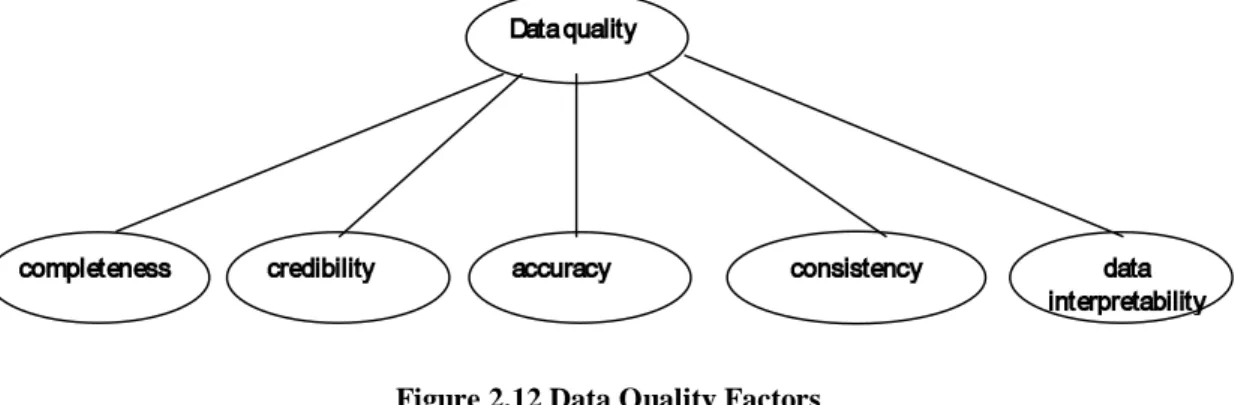 Figure 2.12 Data Quality Factors