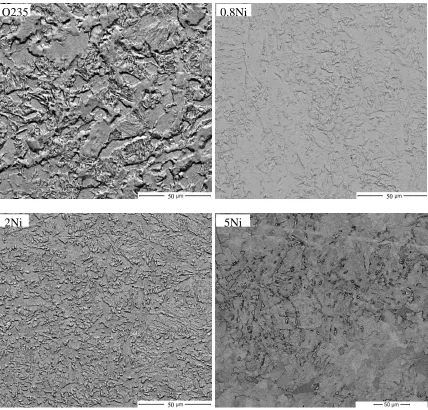Figure 1.  Microstructure of the experimental steels 