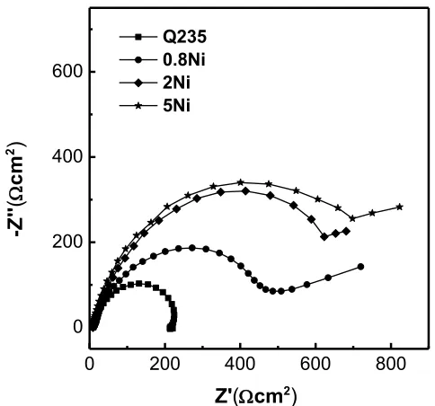 Figure 2.  Polarization curves of four steels in 1.0 wt% NaCl and 0.01 mol/L NaHSO3 before the wet-dry cyclic test  