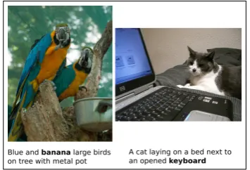 Figure 3: Two cases of foil image-caption pairsthat are judged as correct by all annotators.