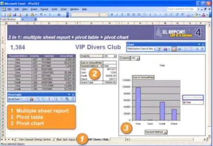 Figure 5: Reporting using spreadshits 