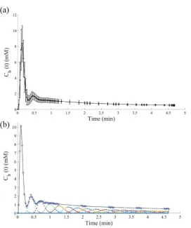 Figure 1.  Example of the MRI volume slab acquired for the DCE data, which included the (i) 