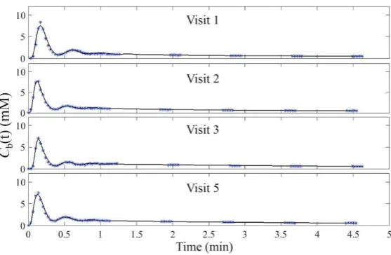Figure 3. Measured AIFs (asterisks) and individual fits (solid lines) from one patient over four 