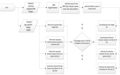 Fig. 2.  Steps for Disc Herniation Detection System 