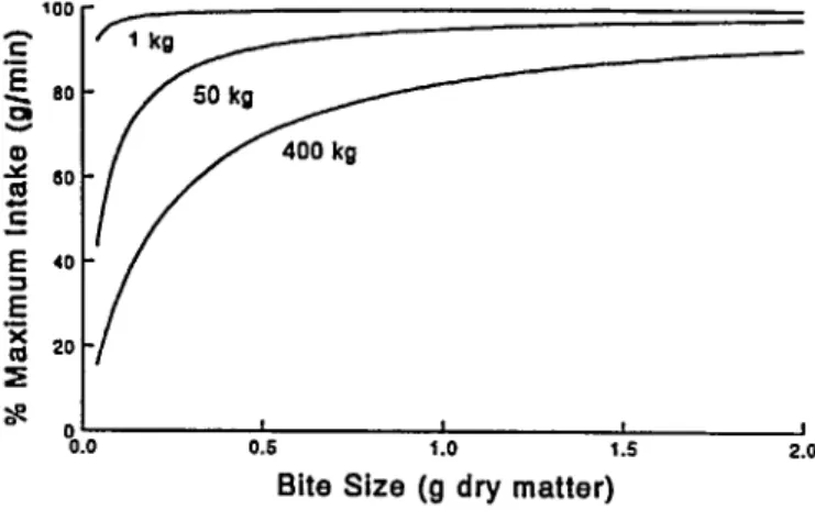 Fig. 2.  Relationships  between  maximum  intake  rote  and  bite  size  for  3  different  body  sixes