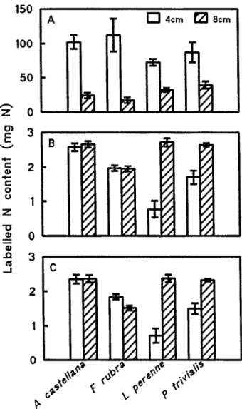 Fig.  1.  Labelled  N  contents,  over  a  35  day  period  from  changing  to  nutrient  solutions  containing  labelled  N,  including  material  removed  by  clipping