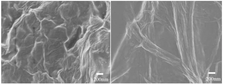 Figure 1. The SEM image of graphene (left) and graphene-Nafion composite (right). 
