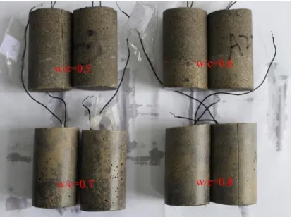 Figure 1. Photograph of the coupling stainless-carbon steel mortars with various water-cement ratios