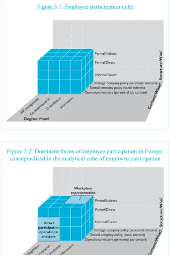 Figure 3.1: Employee participation cube