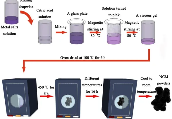 Figure 1. Schematic diagram of synthesis of NCM samples by a sol-gel method 