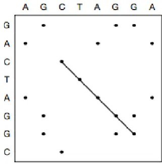 Figure 1: Dot matrix example for 2 DNA se-quences (Mount, 2004)