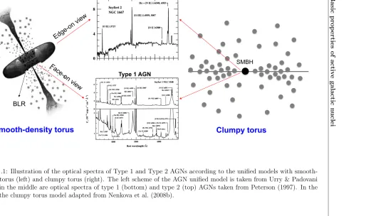 Figure 1.1: Illustration of the optical spectra of Type 1 and Type 2 AGNs according to the uniﬁed models with smooth-density torus (left) and clumpy torus (right)