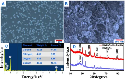 Figure 1.  SEM images of CuNSs (A) and f–MWCNTs/CuNSs (B), EDX spectra of f–MWCNTs/CuNSs (C) and XRD pattern of f–MWCNTs/CuNSs (D)