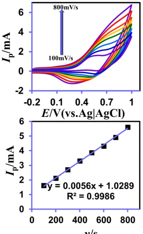 Figure 3.(A) CVs obtained at f-MWCNT/CuNSs/GCE for various scan rates (from 20 mVsmVs–1) in 0.1 M NaOH containing 5 mM glucose