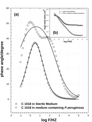 Figure 6.  Bode impedance diagrams  of C1018  immersed in sterile medium and medium containing P.aeruginosa; (a) Bode phase and inset (b) Impedance phase