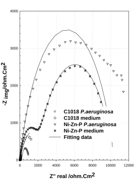 Figure 9.  Theoretical equivalent circuits used for fitting the impedance spectra based on (1) a single and (2) a in two – layer model of surface film