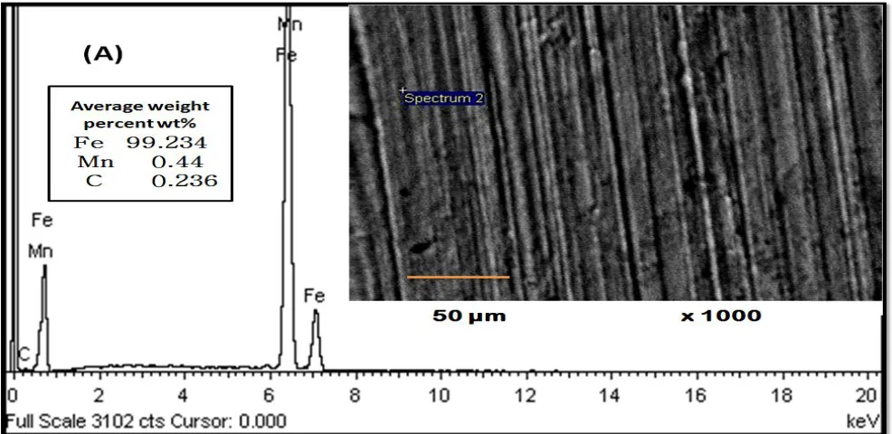 Figure 1. Surface Morphology and Chemical Composition of Carbon steel coating   (B).  