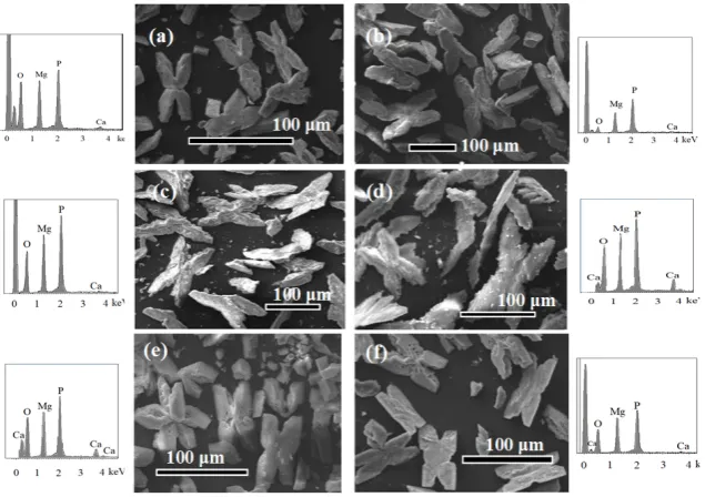 Figure 5 XRD of precipitates at different stirred speeds and standard struvite (line in dark green)