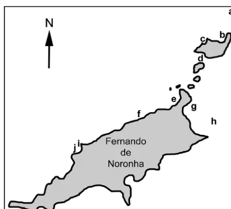 Fig. 1. Fernando de Noronha Archipelago, southwest AtlanticOcean, showing the 10 study sites as follows: (a) Pontal doNorte, (b) Buraco do Inferno, (c) Cagarras, (d) Ressurreta,(e) Porto de Santo Antonio, (f) Ilha do Morro de Fora,(g) Buraco da Raquel (h) Pedras Secas, (i) Baia do Sancho – north shore, and (j) Baia do Sancho – south shore