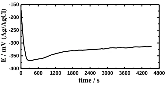 Figure 1.  Change of the open-circuit potential versus time for the couple in the artificial saliva