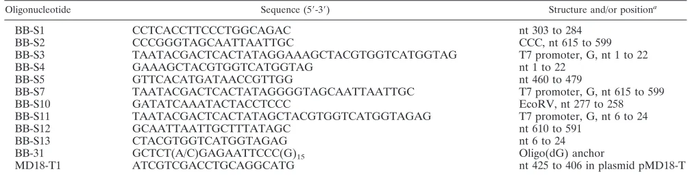 TABLE 1. List of oligonucleotides used for PCR