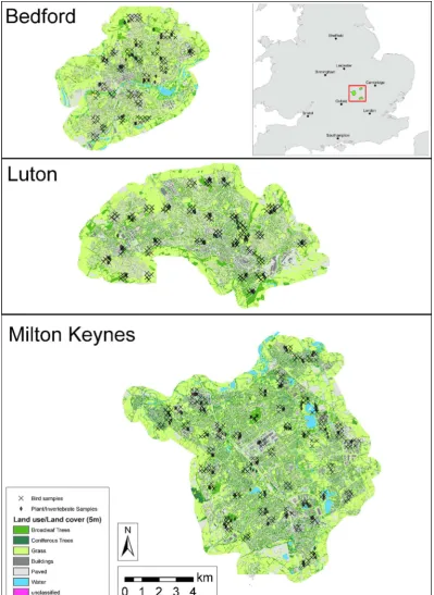 Fig. 1. Study area locations and sampling locations for invertebrate/plant (diamonds) and bird (crosses) richness in Bedford, Luton and Milton Keynes, UK.