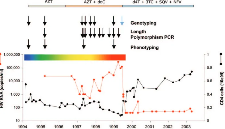 FIG. 2. Sequence of the 8-aa insertion in RT. The amino acid and nucleotide sequences of positions 63 to 75 are shown for time points 3 May1994 and 22 June 1999
