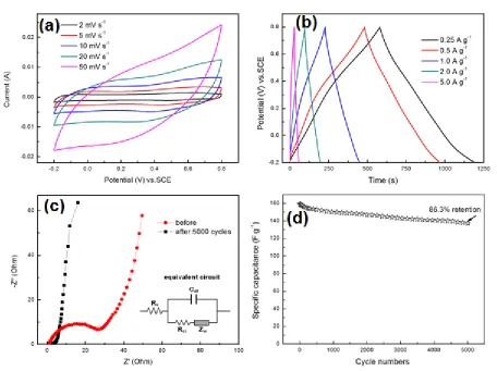 Figure 6.  (a) Cyclic voltammograms of low-density SiO2/MnO2 core-shell nanocomposites at different scan rate (2, 5, 10, 20 and 50 mV s-1) in a 1 M Na2SO4 aqueous electrolyte; (b) charge-discharge curves of low-density SiO2/MnO2 core-shell nanocomposites e