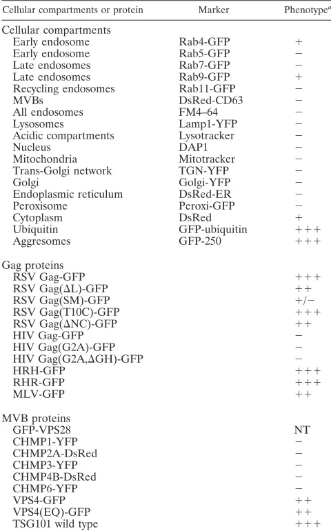 TABLE 1. Summary of colocalization with TICS
