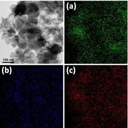 Figure 6. TEM image of Co(OH)2-Mg(OH)2/C (84:16 ratio) catalyst prepared at pH 9.5 showing where the elemental maps were obtained