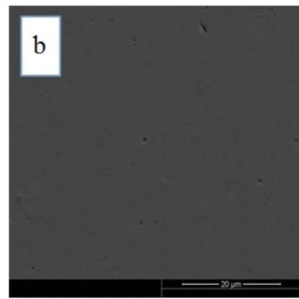 Figure 8 . SEM images of carbon steel in 0.25 M H2SO4 solution (a) blank; (b) with 100 mg L-1 of HACC