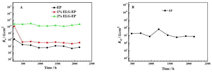 Figure 6. Changes of Rc (A) and Rct (B) curves as a function of immersion times. 