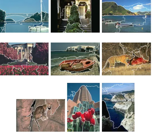 Figure 5. Image segmentation experiments with region histogram