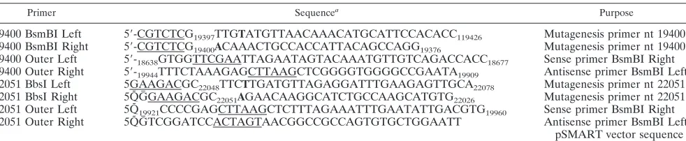TABLE 1. Primers for mutagenesis of bases 19400 and 22051