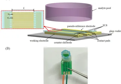 Figure 1 . Schematic structure of IUDA chip (A) and photography of the packaged IUDA chip (B)