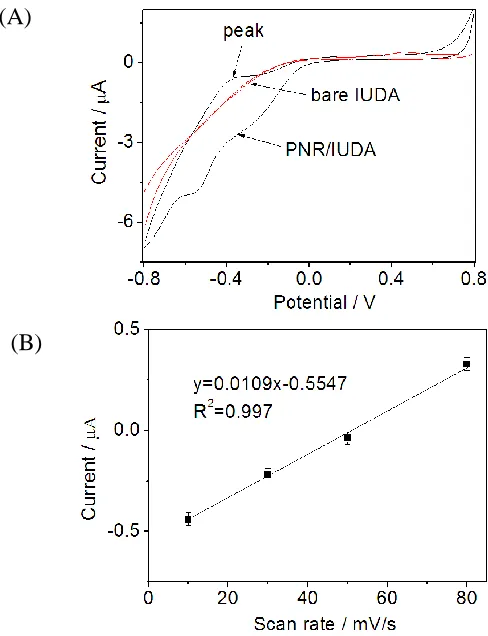 Figure 4.  CV curves of PNR/IUDA (black line) and bare IUDA (red line) in 0.1 M PBS solution (pH=7.0) with scan rate of 50 mV/s (A); linear relationship between peak values at about -0.35 V and scan rates from 10 to 80 mV/s in 0.1 M PBS solution (pH=7.0)