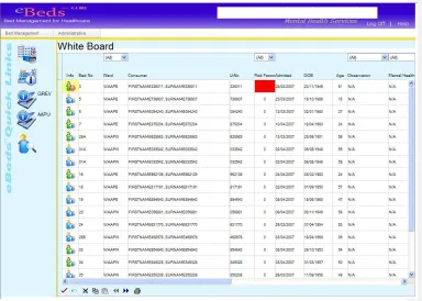 Figure 6 – Screenshot of eBeds Whiteboard  