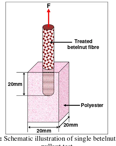 Fig. 2:  Schematic illustration of single betelnut fibre 