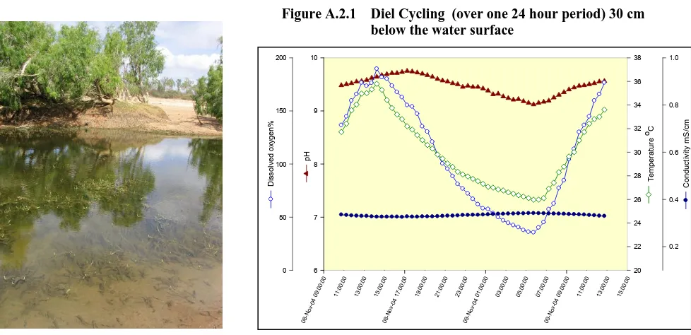Figure A.2.1 Diel Cycling  (over one 24 hour period) 30 cm below the water surface 