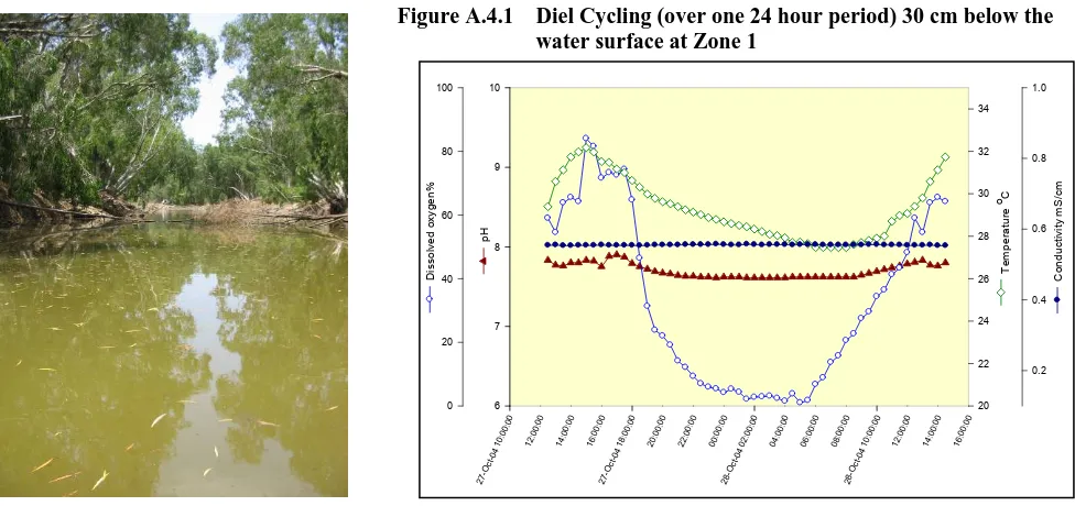 Figure A.4.2 Diel Cycling (over one 24 hour period) 30 cm below the water surface at Zone 2 