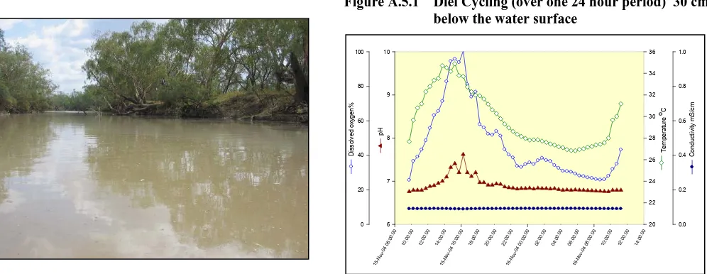 Figure A.5.1 Diel Cycling (over one 24 hour period)  30 cm below the water surface 