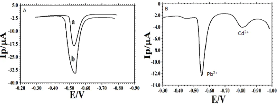 Figure 1B showed the simultaneous DPASV detection of 0.15 μmol/L Pb and CdNG/GCE at the selected conditions