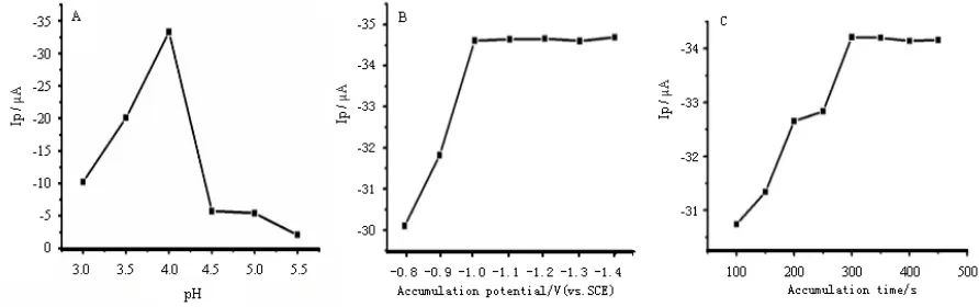 Figure 2. (A) Relationship of pH and Ip value for 1.5×10-5 mol/L Pb2＋ in different pH HOAc-NaOAc buffer; (B) Effect of accumulation potential and (C) Effect of accumulation time on the stripping peak currents of 1.5×10-5 mol/L Pb2 ＋ in pH 4.0 HOAc-NaOAc bu
