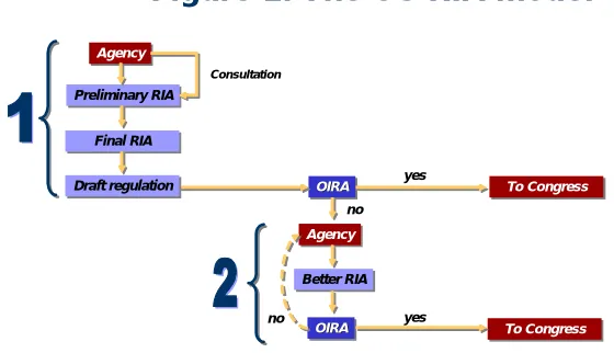 Figure 1. The US RIA model