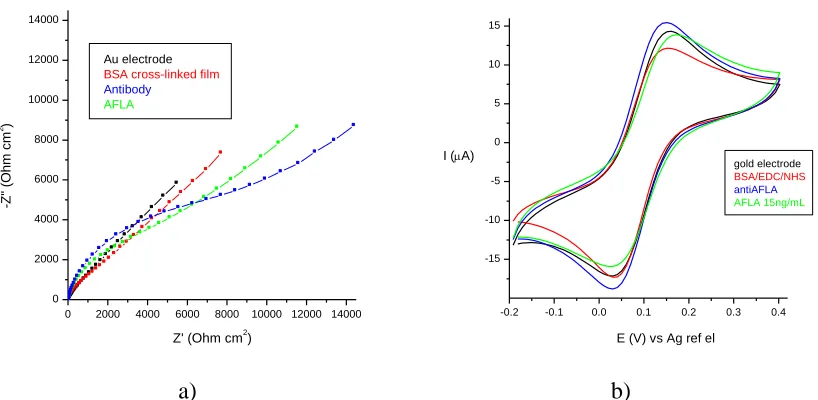 Figure 1. a) equivalent electric circuit in EIS study and b) Schematic of the electrochemical immunosensor for aflatoxin B1 determination 