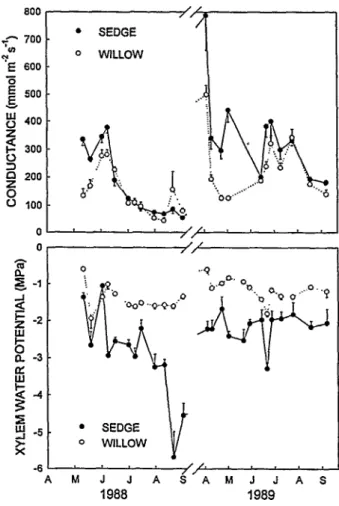 Fig. 2. Seasonal trends in xylem water potential and conductance of  Nebraska sedge and Lemmon’s willow (mean k  1 standard error)