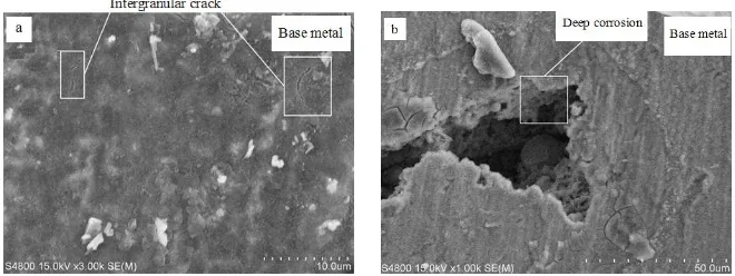 Figure 3.  The SEM photos of base metal corrosion: (a) Intergranular crack enlarged view; (b) Deep corrosion diagram