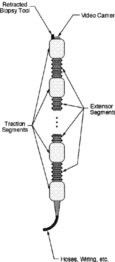 Figure 3 .3: Schematic diagram of the robotic endoscope. 
